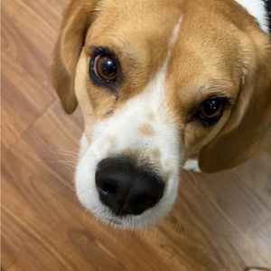 Meet your Posher, Aleena